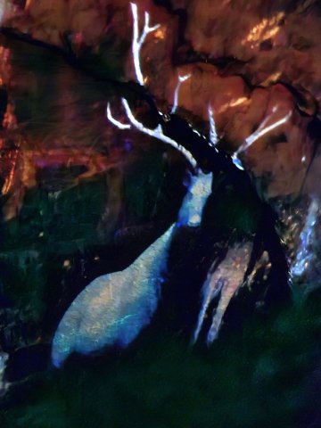 2023 grottes du Han