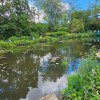2024 Giverny