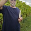 2024 vignoble
