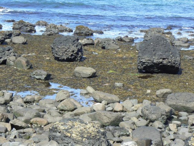 2019 Irlande