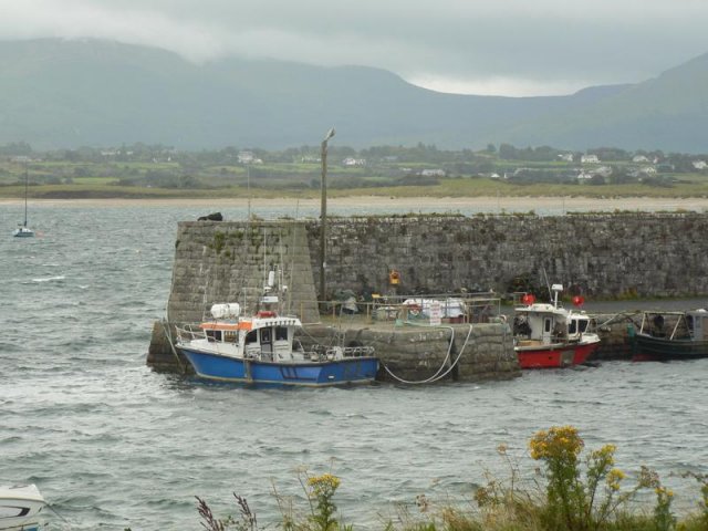 2019 Irlande