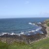 2019 Irlande