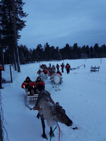 2019_Laponie