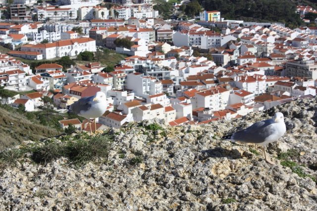 2019 Portugal
