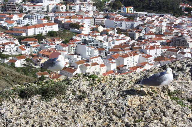 2019 Portugal