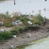 2019 Baie de Somme