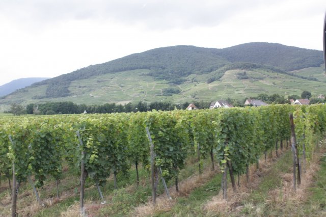 2021 Alsace