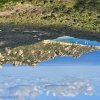 2026 Corse